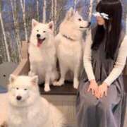 ヒメ日記 2025/01/24 07:04 投稿 ひかり奥様 川崎人妻ソープ Mint(ミント)