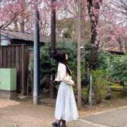 ヒメ日記 2025/03/25 07:49 投稿 ひかり奥様 川崎人妻ソープ Mint(ミント)