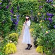 ヒメ日記 2025/04/15 06:21 投稿 ひかり奥様 川崎人妻ソープ Mint(ミント)