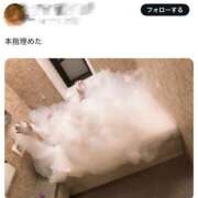 ヒメ日記 2026/03/02 12:12 投稿 ひかり奥様 川崎人妻ソープ Mint(ミント)