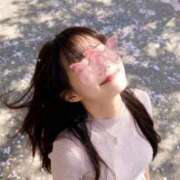 ヒメ日記 2026/05/25 19:05 投稿 ひかり奥様 川崎人妻ソープ Mint(ミント)