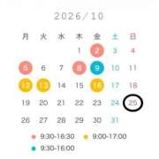 ヒメ日記 2026/09/30 12:37 投稿 ひかり奥様 川崎人妻ソープ Mint(ミント)