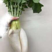 ヒメ日記 2025/02/21 21:15 投稿 みひろ奥様 川崎人妻ソープ Mint(ミント)