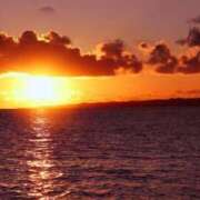 ヒメ日記 2025/10/17 20:00 投稿 みひろ奥様 川崎人妻ソープ Mint(ミント)