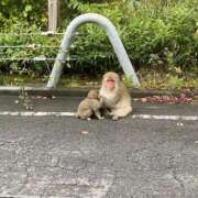 みひろ奥様 ふと思うこと。 川崎人妻ソープ Mint(ミント)