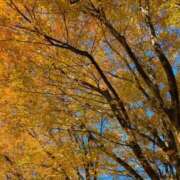 ヒメ日記 2025/12/20 19:01 投稿 みひろ奥様 川崎人妻ソープ Mint(ミント)