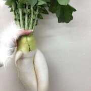 みひろ奥様 ちょっとしたご提案 川崎人妻ソープ Mint(ミント)