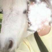 みひろ奥様 当面お休みです 川崎人妻ソープ Mint(ミント)