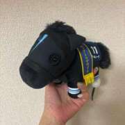 ヒメ日記 2025/07/25 16:51 投稿 みさこ奥様 川崎人妻ソープ Mint(ミント)