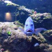 ヒメ日記 2025/08/27 13:44 投稿 ひめ奥様 川崎人妻ソープ Mint(ミント)