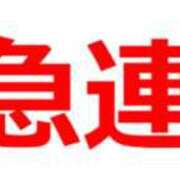 ヒメ日記 2024/12/22 19:03 投稿 かな奥様 川崎人妻ソープ Mint(ミント)