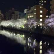 ヒメ日記 2025/04/11 00:12 投稿 かな奥様 川崎人妻ソープ Mint(ミント)