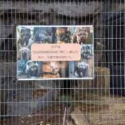 ヒメ日記 2025/11/24 11:38 投稿 かな奥様 川崎人妻ソープ Mint(ミント)