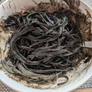 ヒメ日記 2026/02/01 13:14 投稿 かな奥様 川崎人妻ソープ Mint(ミント)