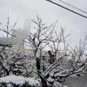 ヒメ日記 2026/02/08 21:29 投稿 かな奥様 川崎人妻ソープ Mint(ミント)