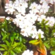 ヒメ日記 2026/01/13 19:24 投稿 ことは奥様 川崎人妻ソープ Mint(ミント)