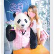 ヒメ日記 2025/11/23 23:58 投稿 こはる 小岩ハイブリッドマッサージ