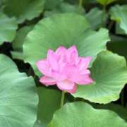 ヒメ日記 2025/07/13 08:54 投稿 あき 小岩ハイブリッドマッサージ