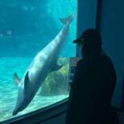 ヒメ日記 2026/03/20 16:35 投稿 あき 小岩ハイブリッドマッサージ