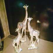 ヒメ日記 2025/01/18 16:16 投稿 のりか★癒しといやらしさの大融合 かりゆしOLの秘密【20代沖縄美女多数在籍-デリヘル×ヌードエステ】