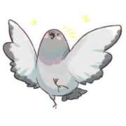 ヒメ日記 2025/04/04 09:56 投稿 のりか★癒しといやらしさの大融合 かりゆしOLの秘密【20代沖縄美女多数在籍-デリヘル×ヌードエステ】