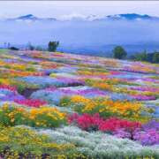 ヒメ日記 2025/05/16 09:56 投稿 のりか★癒しといやらしさの大融合 かりゆしOLの秘密【20代沖縄美女多数在籍-デリヘル×ヌードエステ】