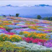 ヒメ日記 2025/05/28 10:16 投稿 のりか★癒しといやらしさの大融合 かりゆしOLの秘密【20代沖縄美女多数在籍-デリヘル×ヌードエステ】