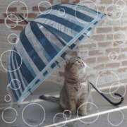 ヒメ日記 2025/06/02 10:16 投稿 のりか★癒しといやらしさの大融合 かりゆしOLの秘密【20代沖縄美女多数在籍-デリヘル×ヌードエステ】