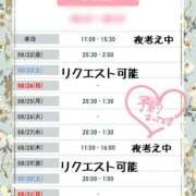 ヒメ日記 2025/08/21 06:51 投稿 のりか★癒しといやらしさの大融合 かりゆしOLの秘密【20代沖縄美女多数在籍-デリヘル×ヌードエステ】