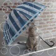 ヒメ日記 2026/02/02 08:17 投稿 のりか★癒しといやらしさの大融合 かりゆしOLの秘密【20代沖縄美女多数在籍-デリヘル×ヌードエステ】