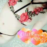 ヒメ日記 2026/04/02 11:54 投稿 のりか★癒しといやらしさの大融合 かりゆしOLの秘密【20代沖縄美女多数在籍-デリヘル×ヌードエステ】