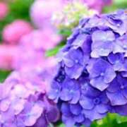 ヒメ日記 2026/05/01 08:38 投稿 のりか★癒しといやらしさの大融合 かりゆしOLの秘密【20代沖縄美女多数在籍-デリヘル×ヌードエステ】