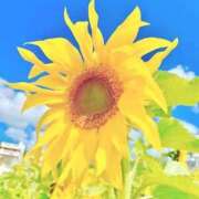 ヒメ日記 2026/07/27 09:07 投稿 のりか★癒しといやらしさの大融合 かりゆしOLの秘密【20代沖縄美女多数在籍-デリヘル×ヌードエステ】