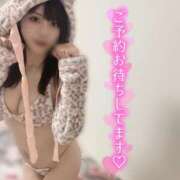 ヒメ日記 2025/05/06 21:30 投稿 りお The White