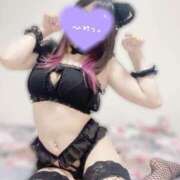 ヒメ日記 2025/10/08 20:11 投稿 りお The White