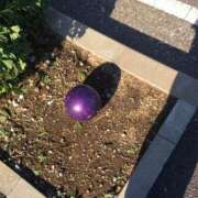 ヒメ日記 2025/11/13 18:35 投稿 りお The White