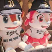 ヒメ日記 2025/02/12 11:36 投稿 りく マドンナSANSAIN