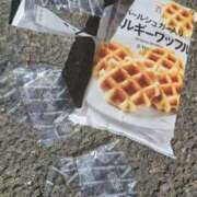 ヒメ日記 2025/02/26 13:28 投稿 りく マドンナSANSAIN