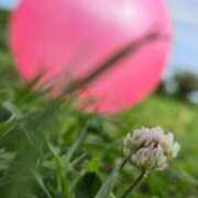 ヒメ日記 2025/05/25 22:58 投稿 りく マドンナSANSAIN