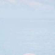 ヒメ日記 2025/08/13 11:28 投稿 りく マドンナSANSAIN