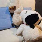 ヒメ日記 2025/09/02 13:08 投稿 りく マドンナSANSAIN