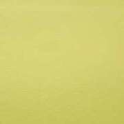 ヒメ日記 2025/10/23 09:28 投稿 りく マドンナSANSAIN