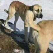 ヒメ日記 2025/11/11 16:08 投稿 りく マドンナSANSAIN