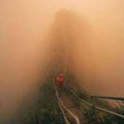 ヒメ日記 2025/11/14 17:38 投稿 りく マドンナSANSAIN