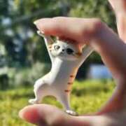 ヒメ日記 2025/11/21 11:40 投稿 りく マドンナSANSAIN