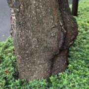 ヒメ日記 2025/11/21 13:28 投稿 りく マドンナSANSAIN