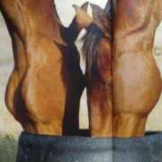 ヒメ日記 2025/11/21 14:58 投稿 りく マドンナSANSAIN