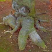 ヒメ日記 2025/11/23 11:49 投稿 りく マドンナSANSAIN