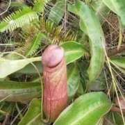 ヒメ日記 2025/11/24 20:02 投稿 りく マドンナSANSAIN