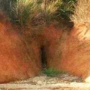 ヒメ日記 2025/11/29 02:58 投稿 りく マドンナSANSAIN